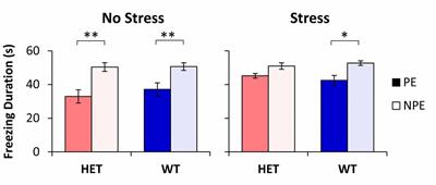 Impaired Latent Inhibition in GDNF-Deficient Mice Exposed to Chronic Stress